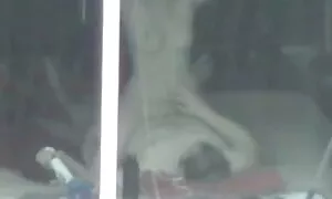 Domaći striptiz besramne djevojke porno dalila Nautica Thorn