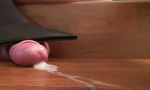 Seksualni odabir hamster free porno zaposlenika