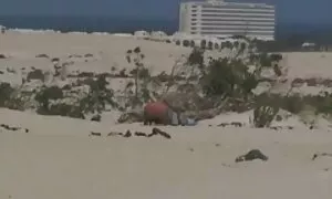 Današnji rođendan tarzan film porno